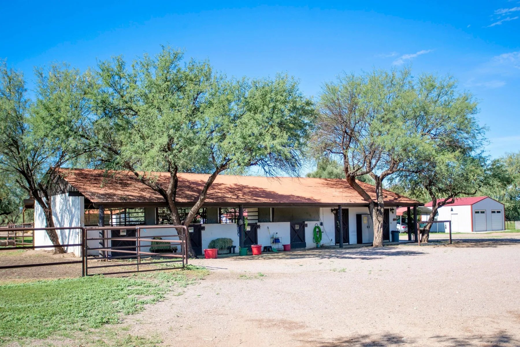 3155 W Elephant Head Rd
