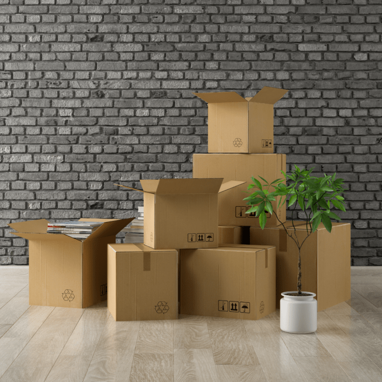 Relocating to the DMV: Things to Consider