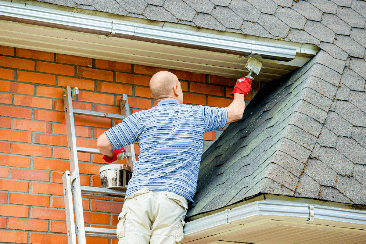 Summer Home Maintenance Checklist for Victoria Homeowners