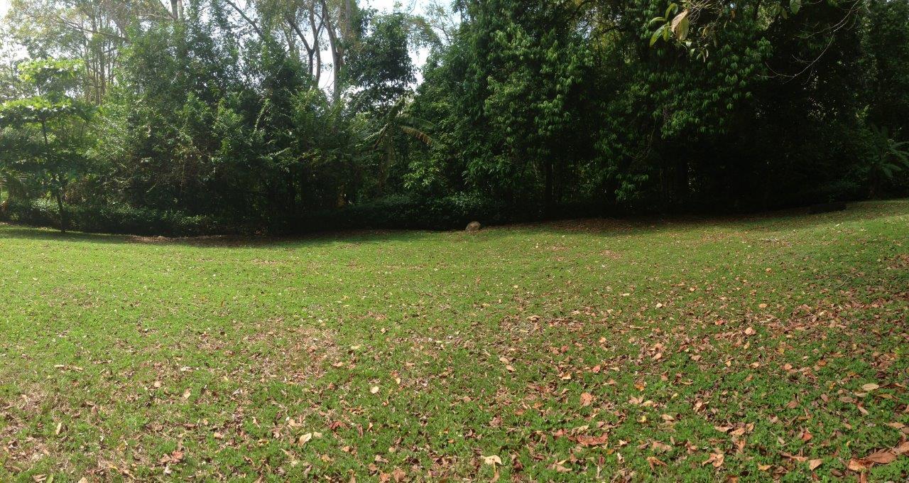 Pacific Frontage Rainforest Estate, Osa, Puntarenas