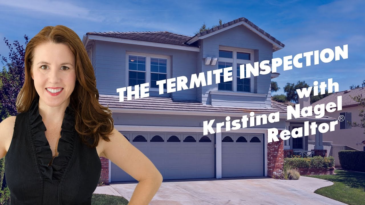 What's Eating Your House? - The Termite Inspection