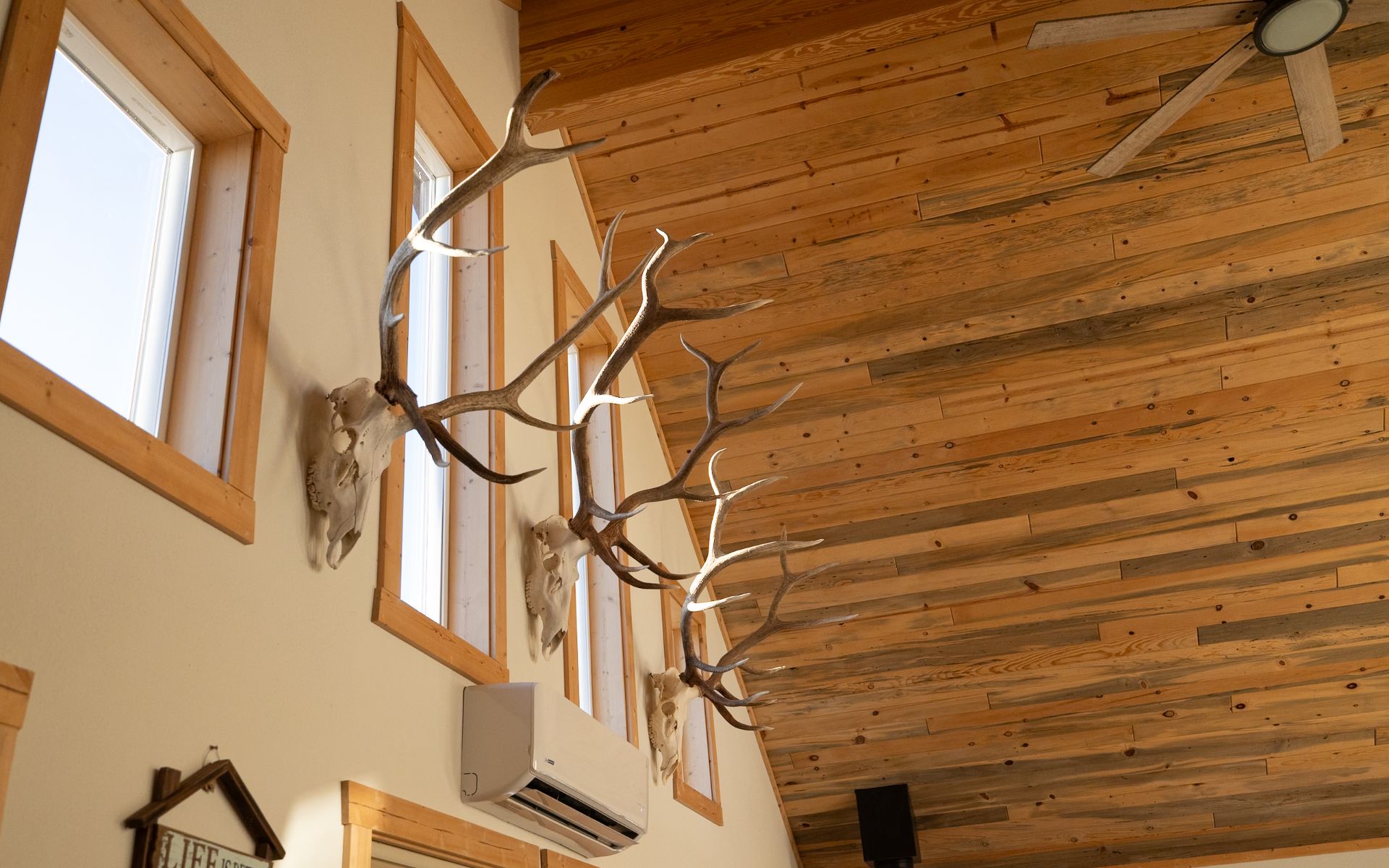 Elk Rich Ranch