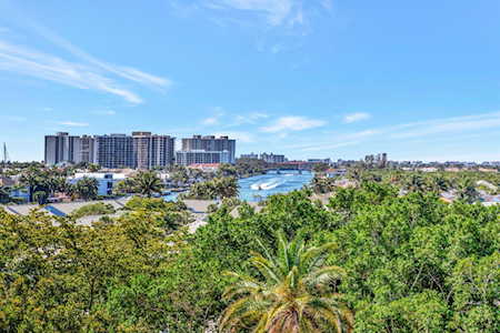 East Boca landscape with waterfront high-rises beyond dense tropical greenery.