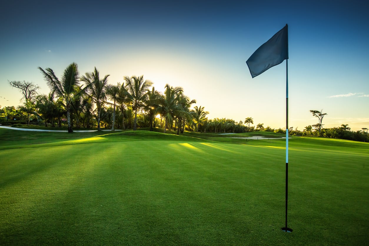 CDDs, Master HOAs, and HOAs : Living in Paradise has it's Price 