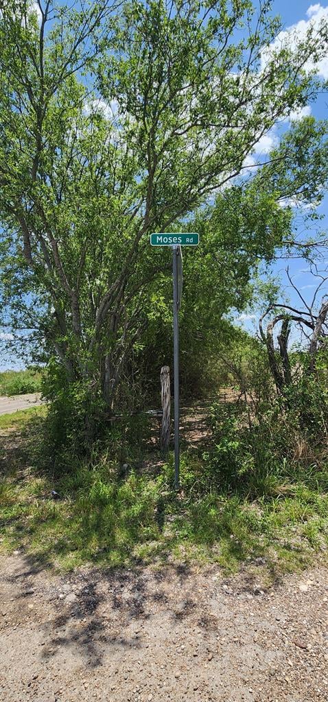 1542 Moses Rd