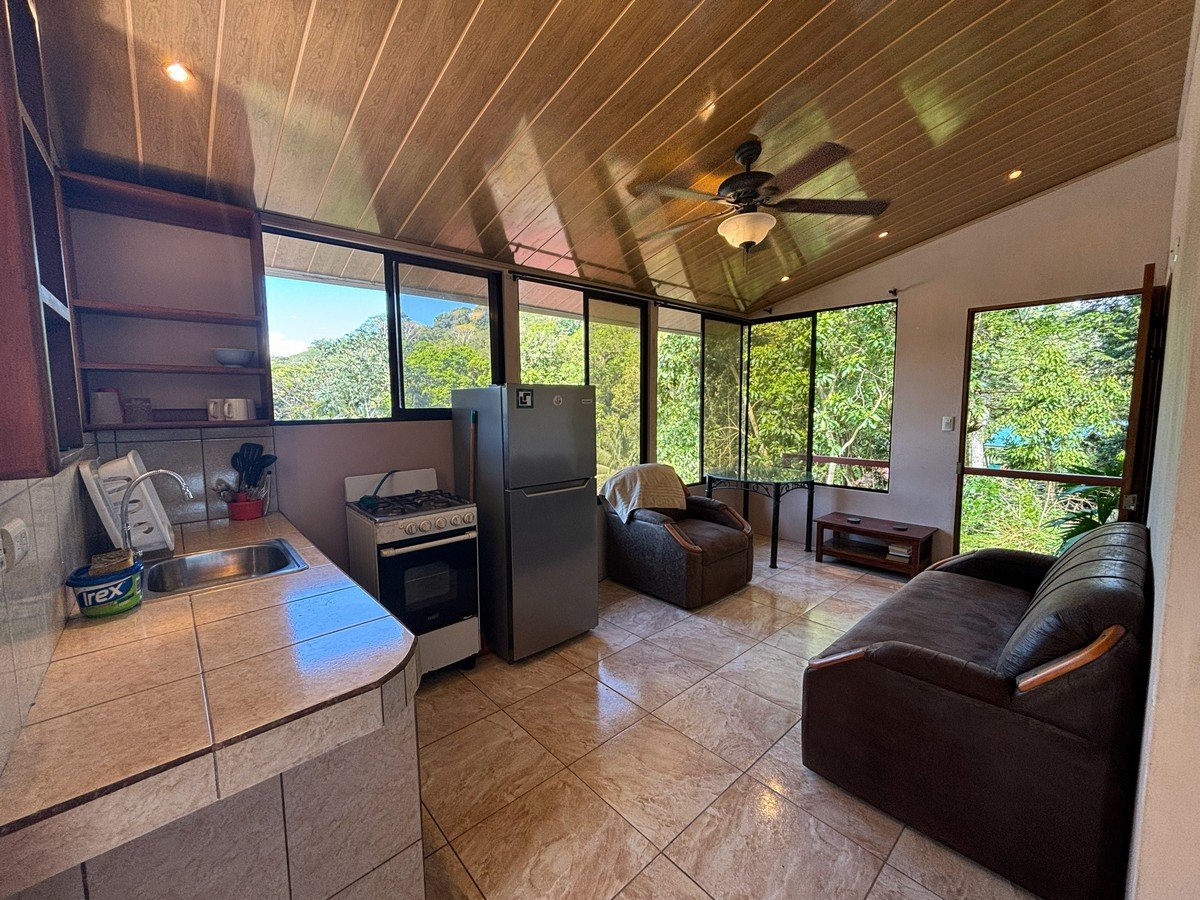 0.16 Acres – 4 Living Units, 7 Bedroom Riverfront Investment Package Near Dominical Beach With Owner Financing!!!