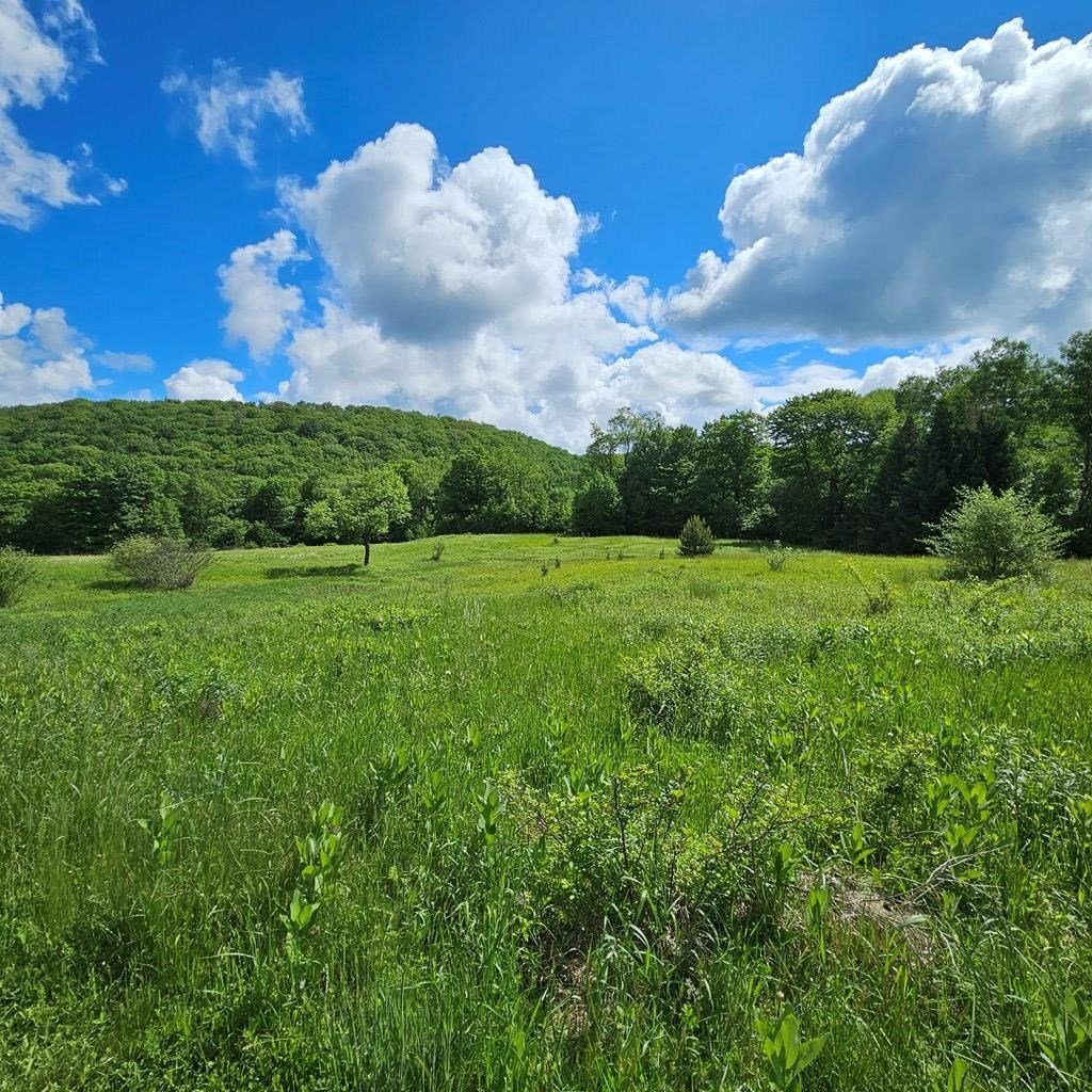 359 Gazdag Road