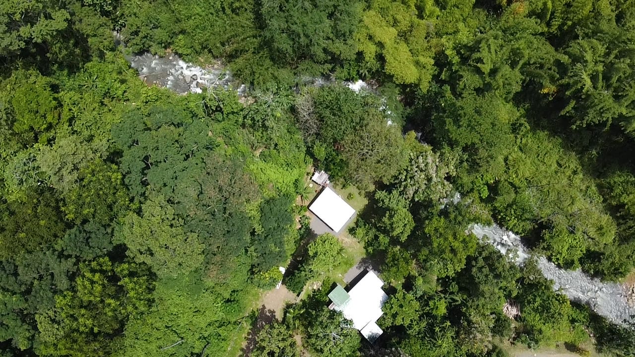 Riverfront Dream Property