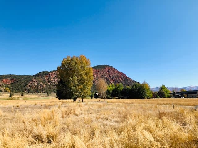 Gated Community in Aspen Glen 