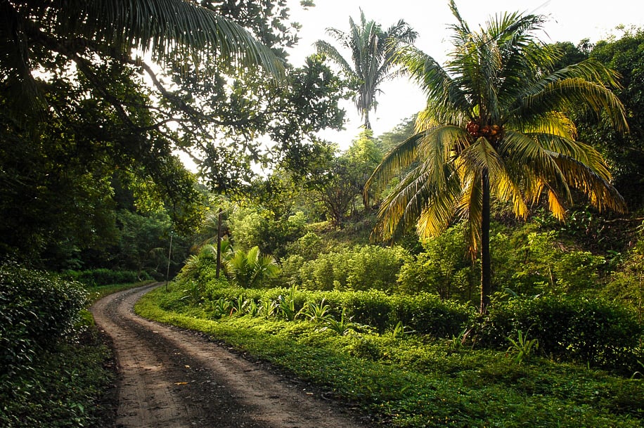 Large Development Parcel, Santa Teresa, Puntarenas