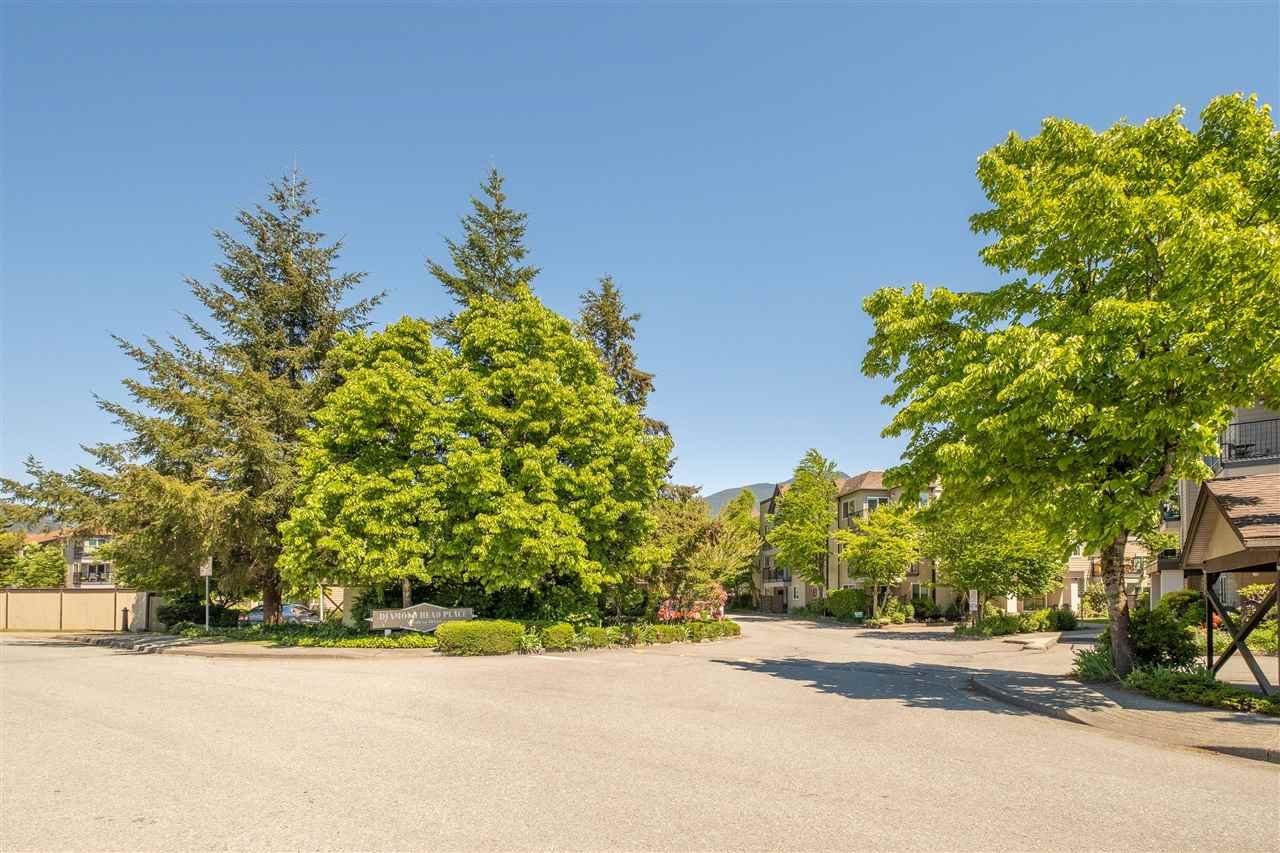 40120 Willow Cres, #B303