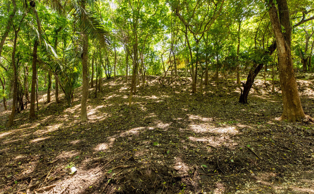 Secluded Surf Walk Building Lot, Nosara, Guanacaste