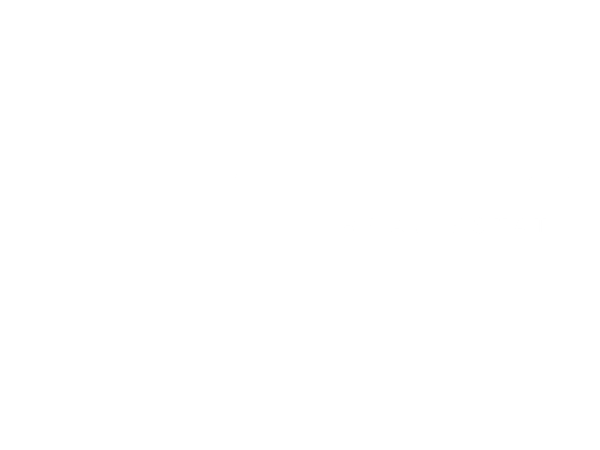 Laurie Bornstein Homes with Eleete Logo