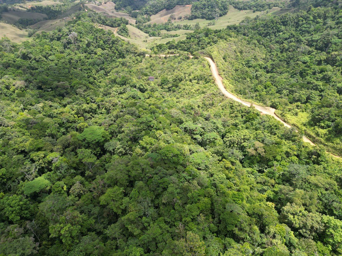 32 ACRES – Mountain Land With Spring, Jungle & Usable Space!!!!