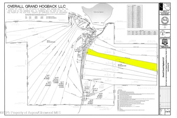 Land survey plat with one long parcel highlighted in yellow.