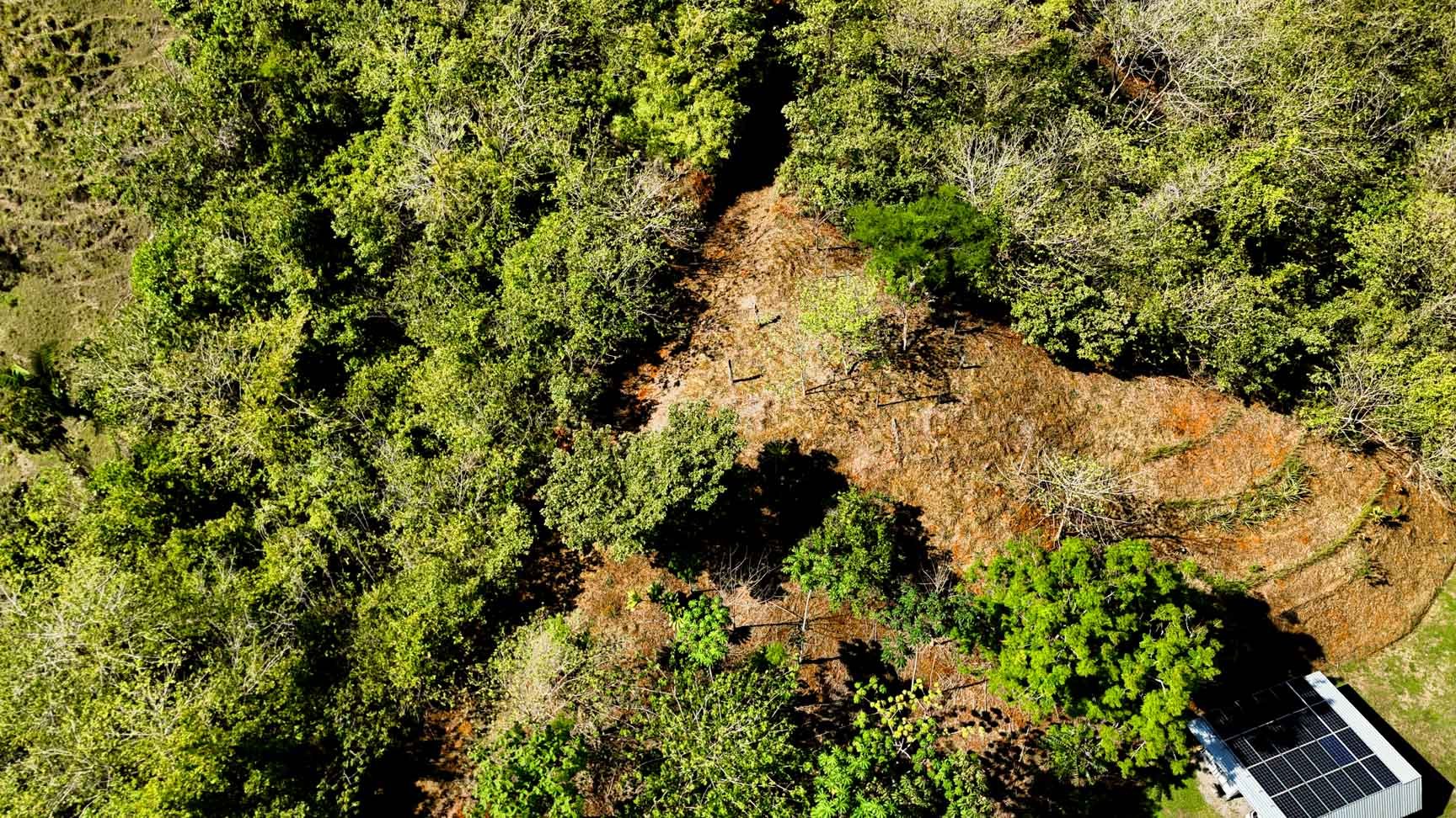 32-Acre Self-Sustainable Off-Grid Farm Near Ojochal with House, Solar Power & River