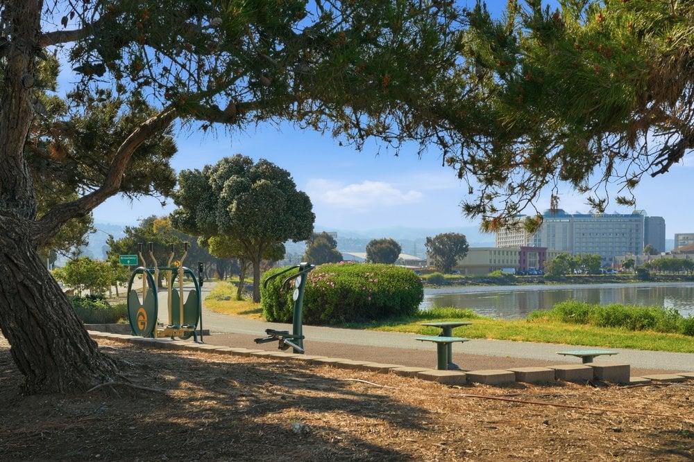 The Grove at Capuchino