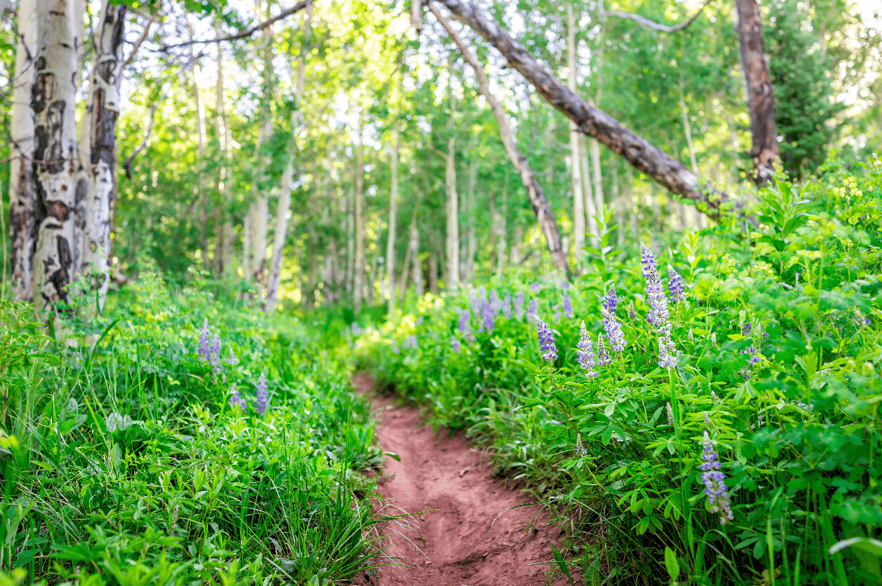 April 2026 Market Pulse: Patience Is the Story