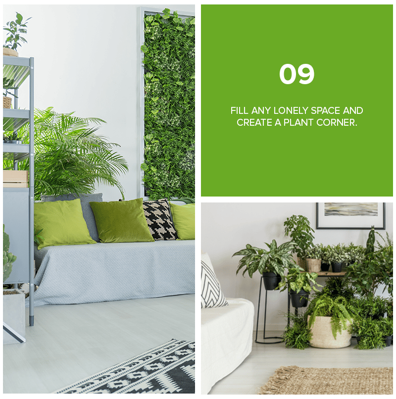 Plant-filled living room collage with the tip to fill a lonely space and create a plant corner.