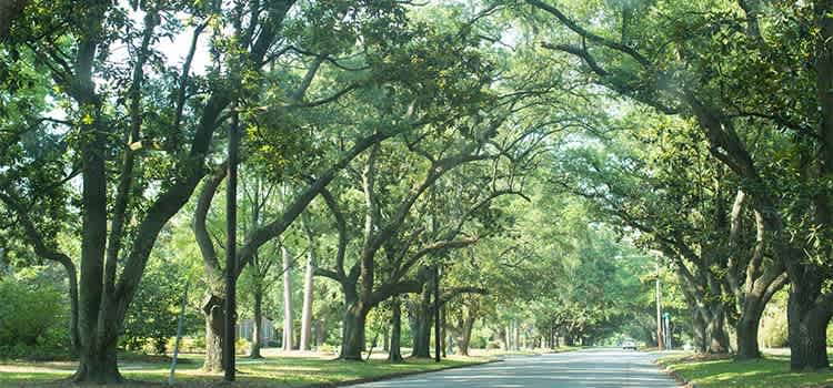 Bee’s Knees: Stuff We Dig!