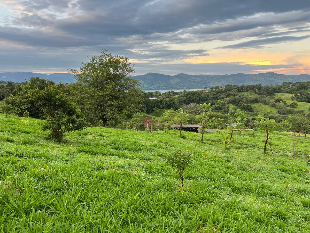 Permaculture Food Forest Land, Lake Arenal, Alajuela