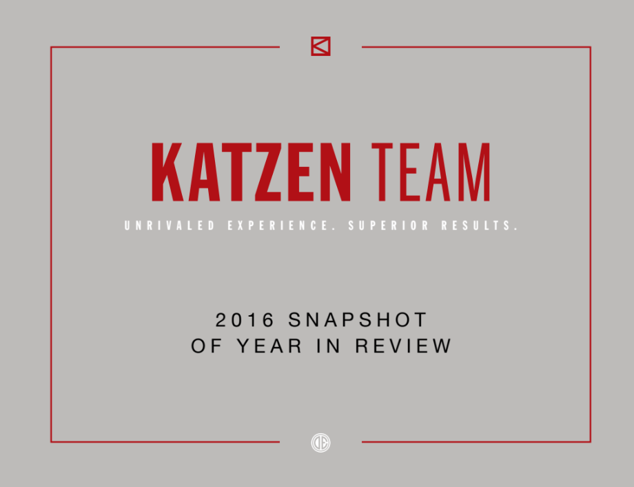 2016 Snapshot Year in Review