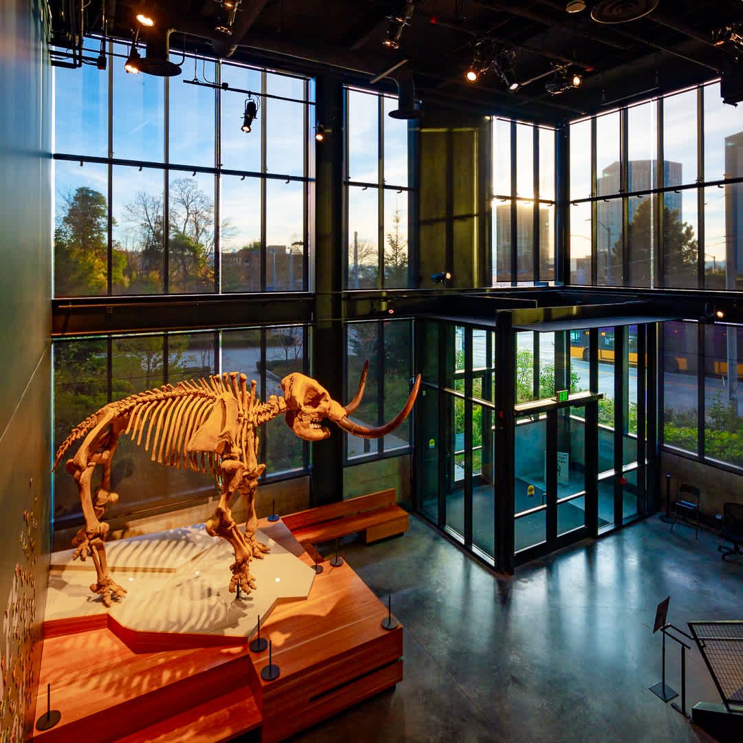 11 Unique Museums and Exhibits in and around Seattle, WA