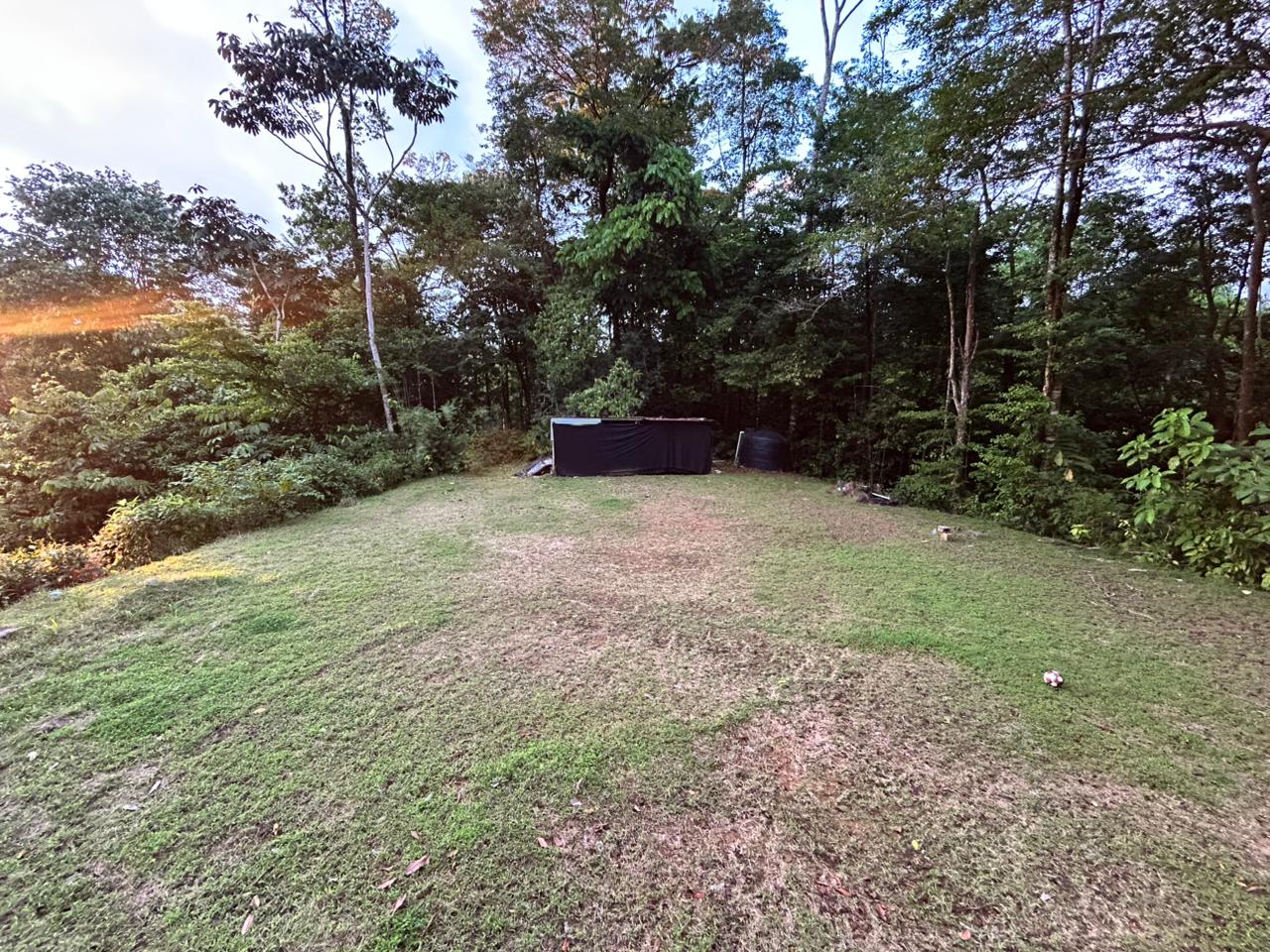 1.7 Acres Ocean View Lot with Producing Cabin in Uvita