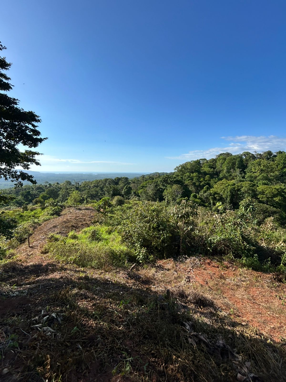 67 acres development (15 titled lots) with breathtaking views in Sierpe