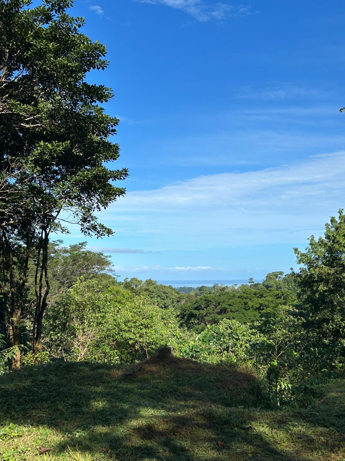  Ocean View Lot with 2-Bedroom Starter Casita