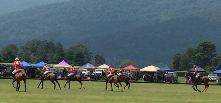 Charlottesville Summer Bucket List: Polo at King Family Vineyards
