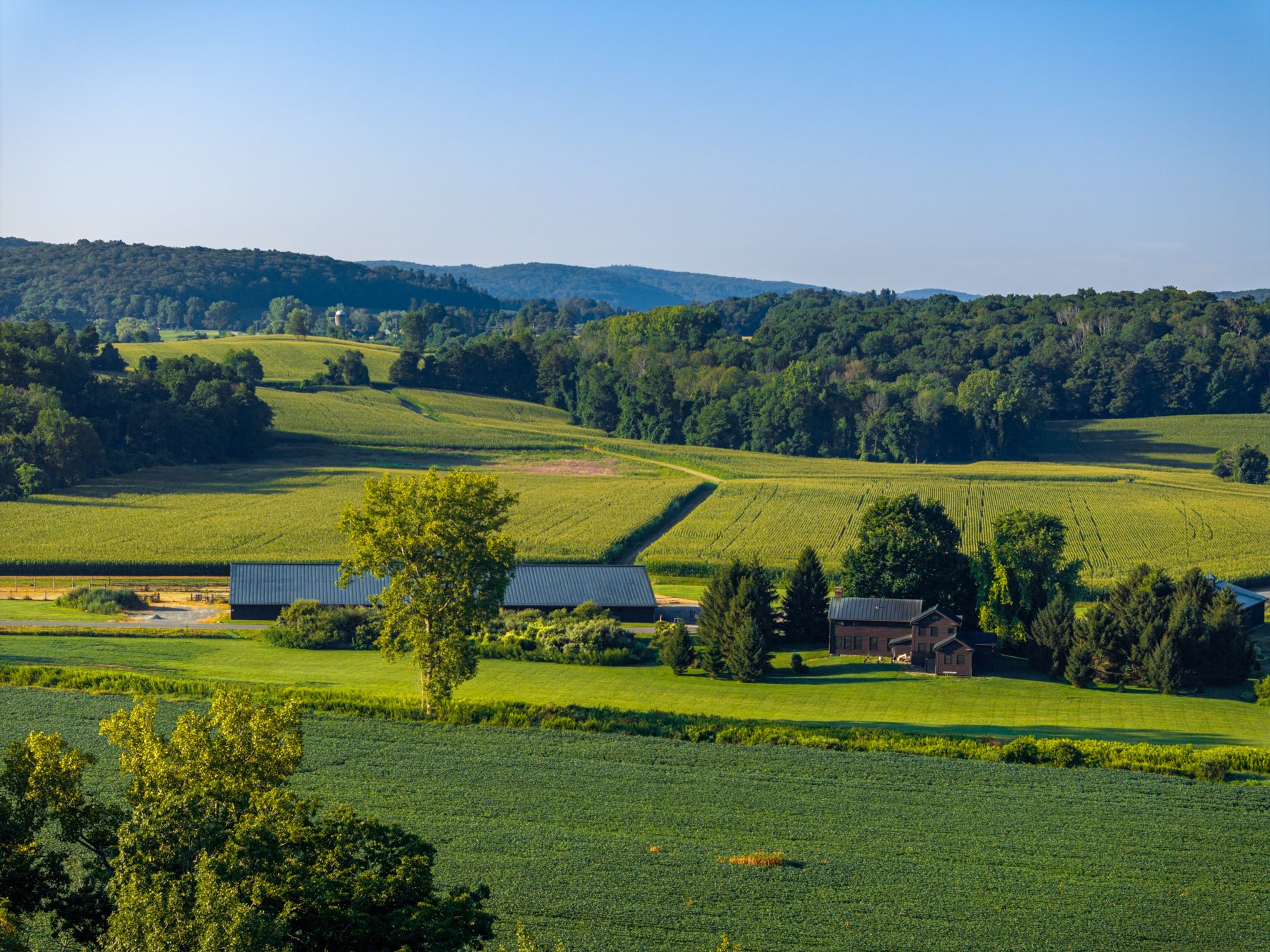 Mill Farm 
