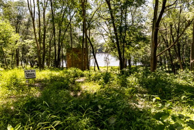 Shire Wood - August Update