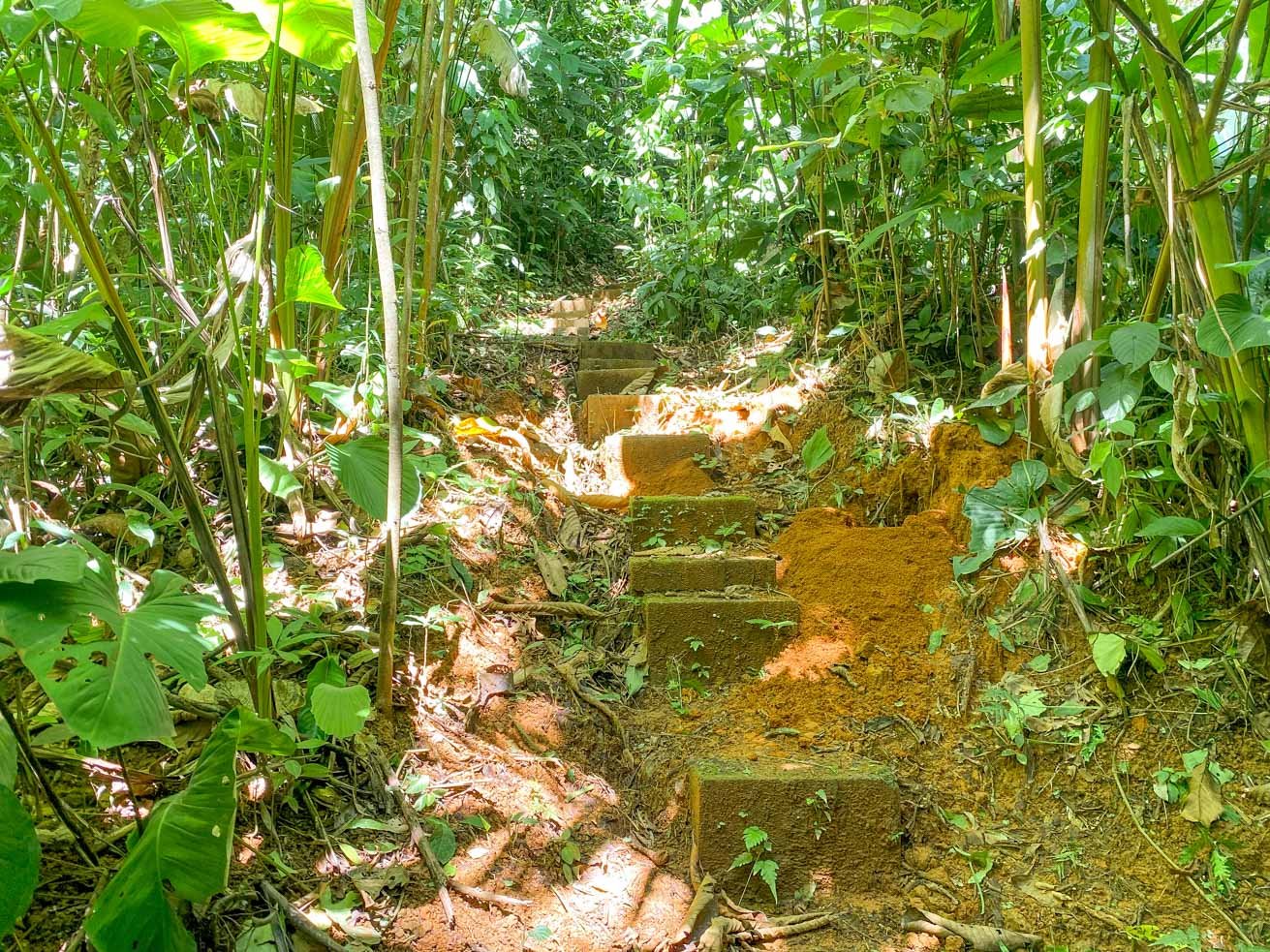 3 Bedroom Rainforest Home in Ojochal With River & Waterfall | 3.5 Acres Private