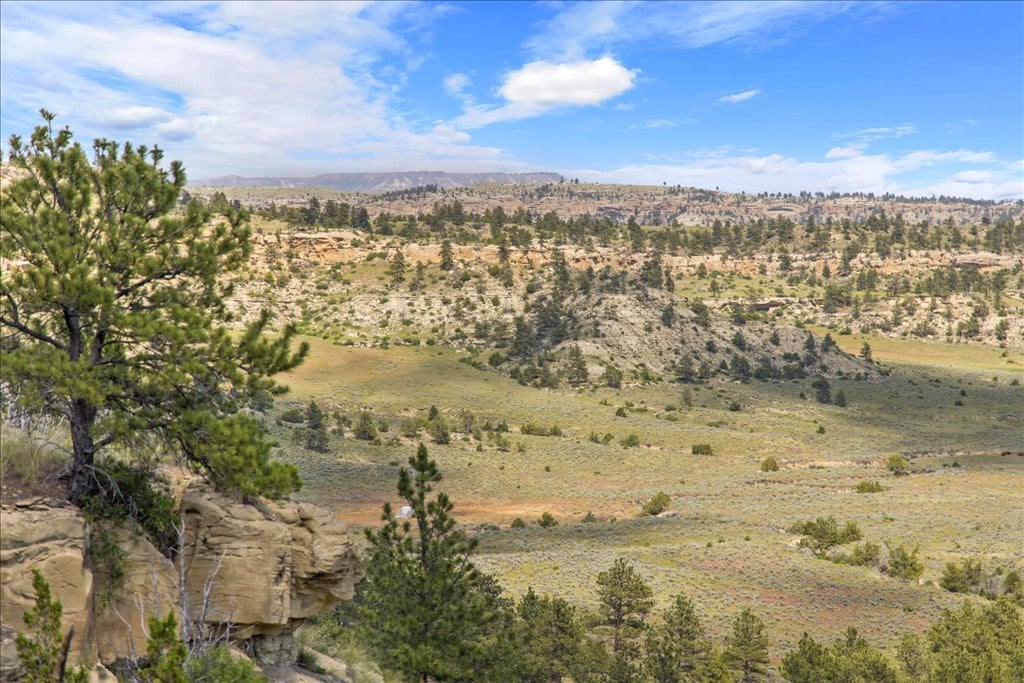 369 Border Trail