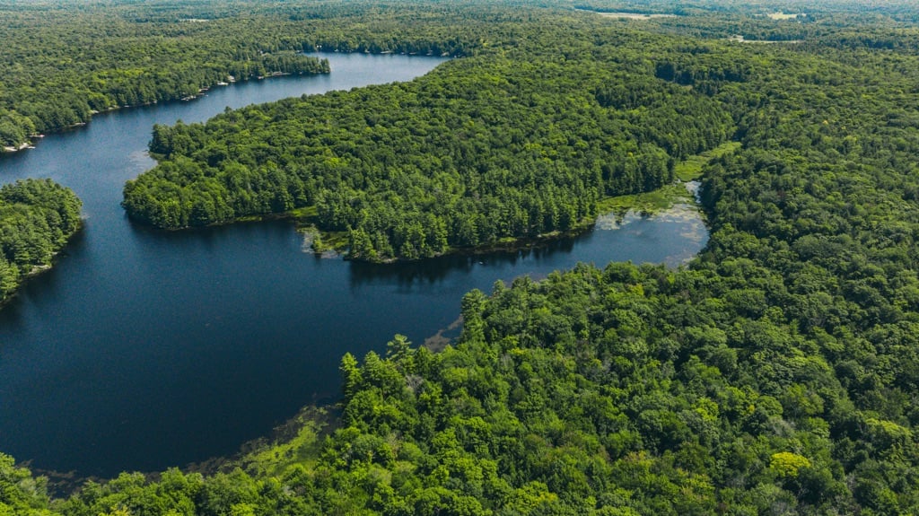 Camel Lake