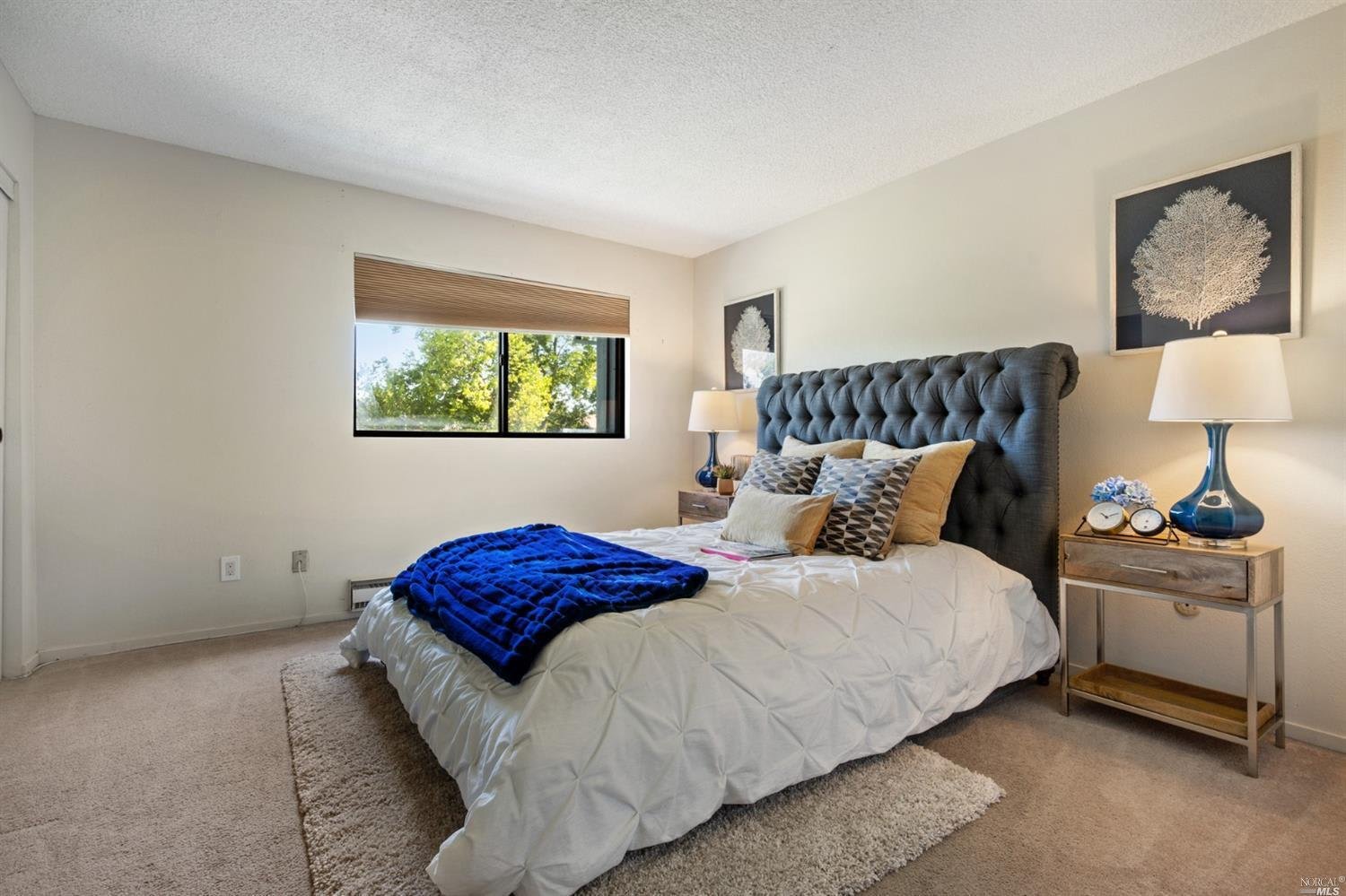 237 College View Dr