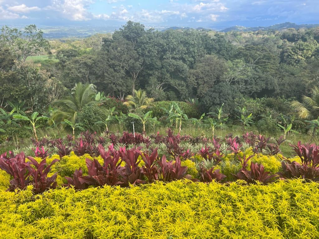Waterfall Coffee Estate Villa, Atenas, Alajuela
