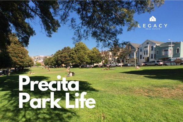 View of grass and trees at Bernal's Precita park with sunbathers and blue skies in the background