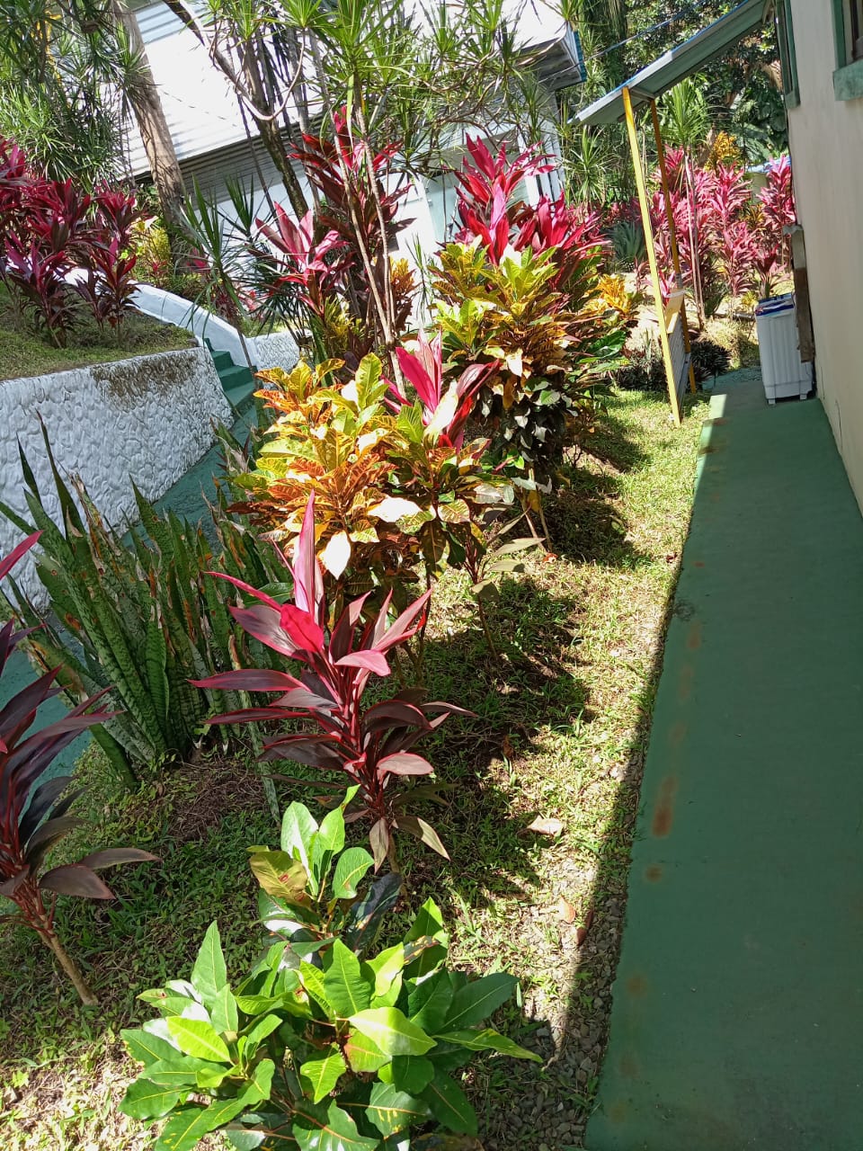 M. A. Ocean View Apt.