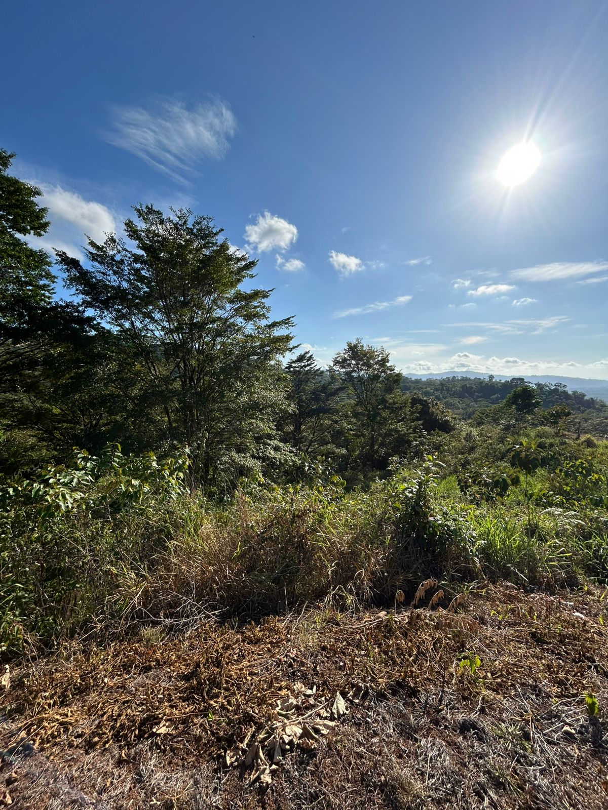 67 acres development (15 titled lots) with breathtaking views in Sierpe