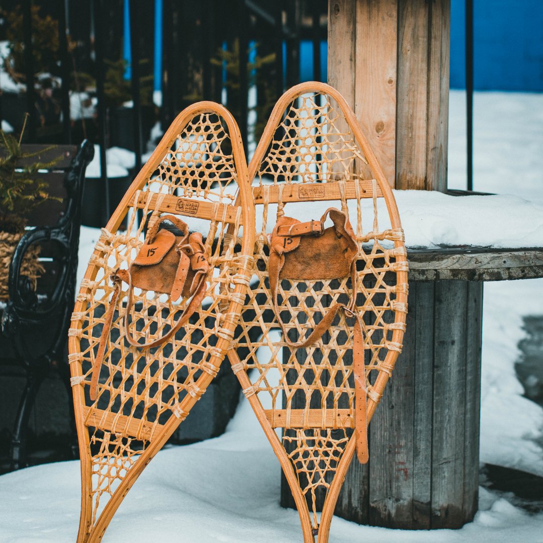 A Day of Snowshoeing at Lost Trail, Montana