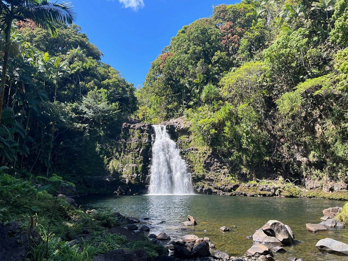 HAMAKUA COAST BIG ISLAND - OCEANFRONT 40 ACRES - WATERFALLS