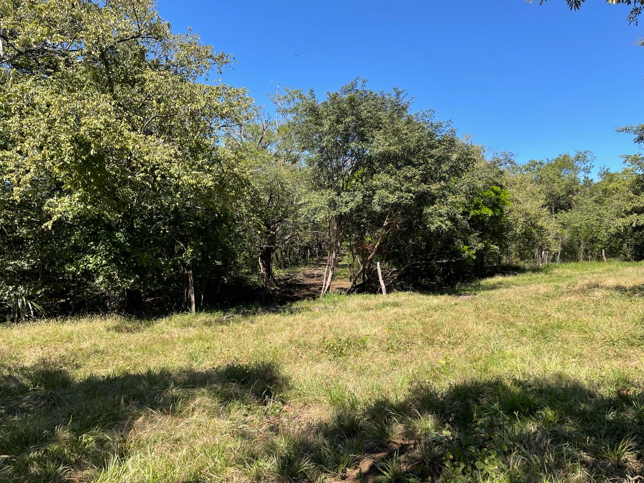 Beautiful Estate Lots Strategically Located in Villareal – Tamarindo – Guanacaste