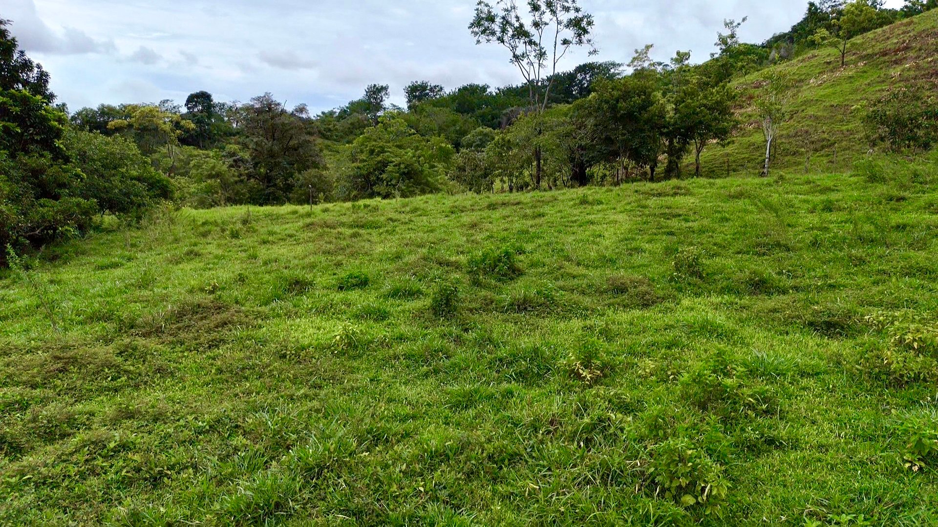 Ocean View Sanctuary in San Buenas – 4.94 Acres of Pastures & Easy Accessaccess