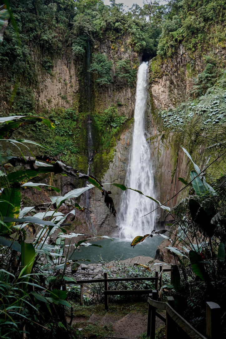 La Monarca