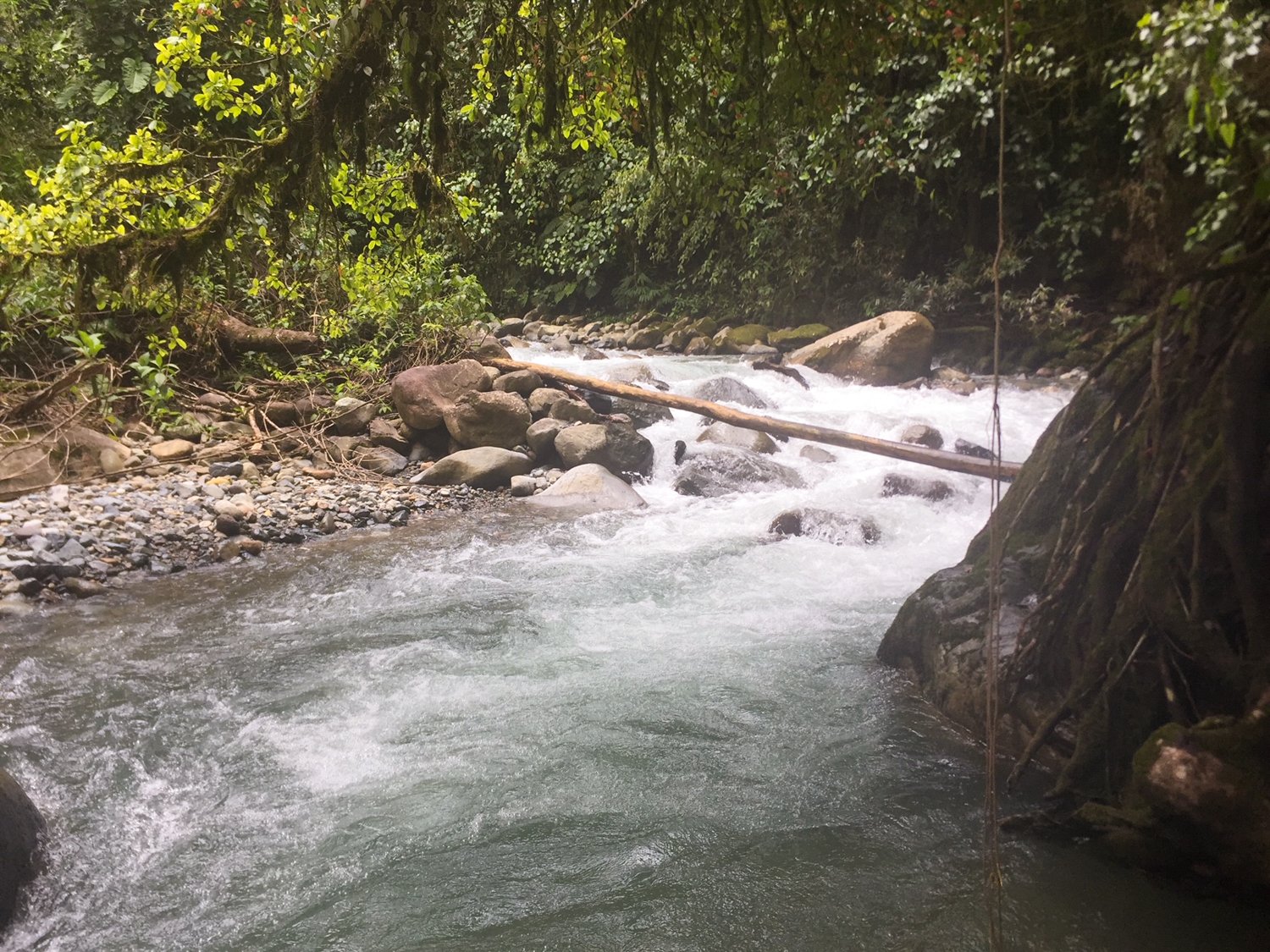 REDUCED! 77-Acre Mountain Paradise with Waterfalls & Epic Views in Santa Elena 