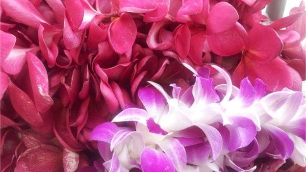 The Art of Lei Making in Hawaii