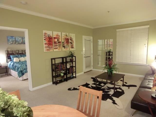 801 S Winchester Blvd #4309
