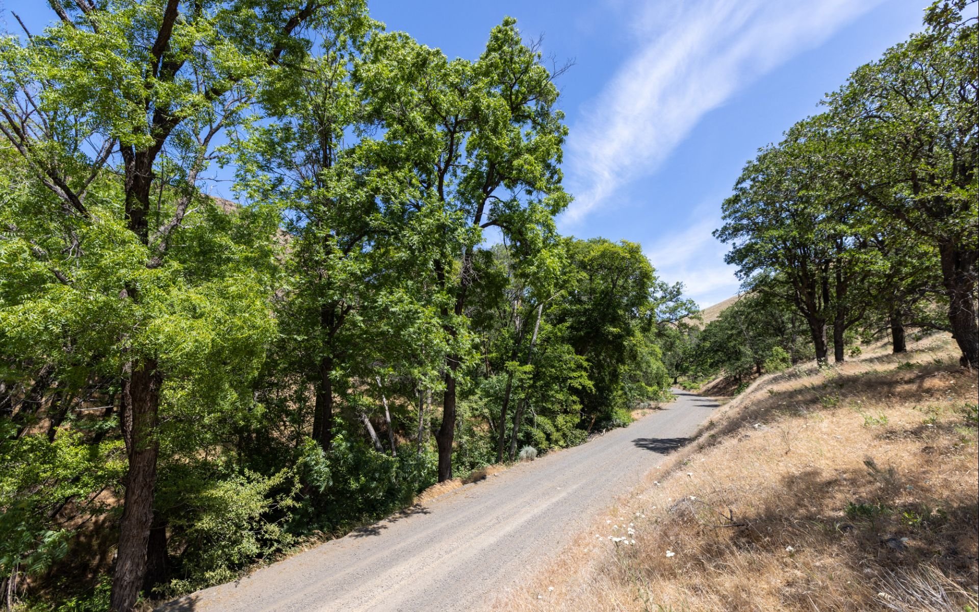1056 Rock Creek Rd